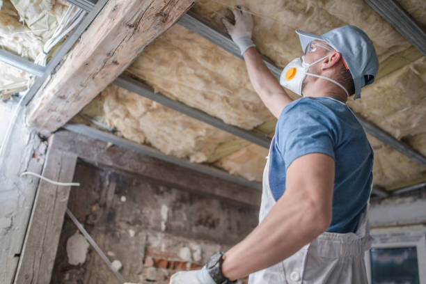Best Specialized Insulation Services in South Bend, WA